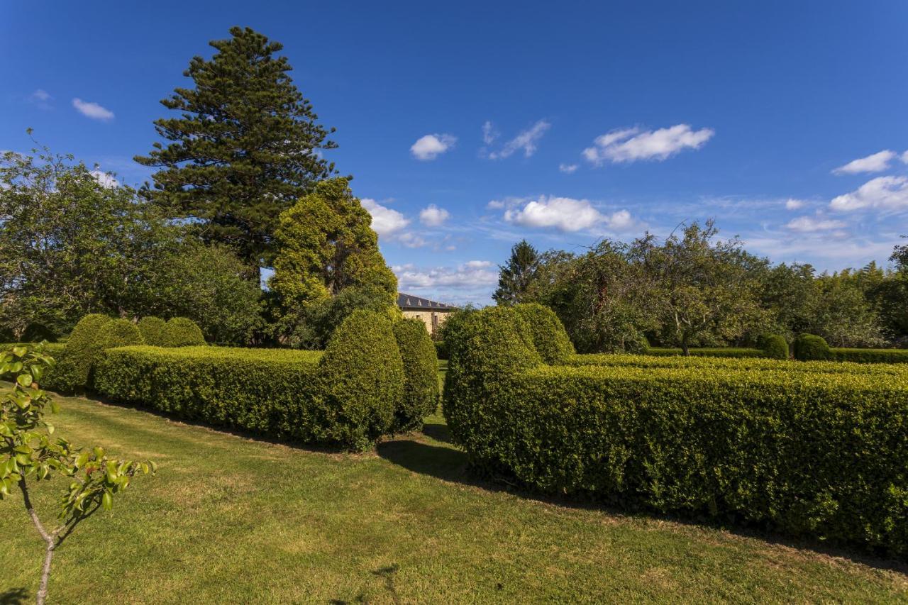Araucaria House Pensionat Barreiros Exteriör bild