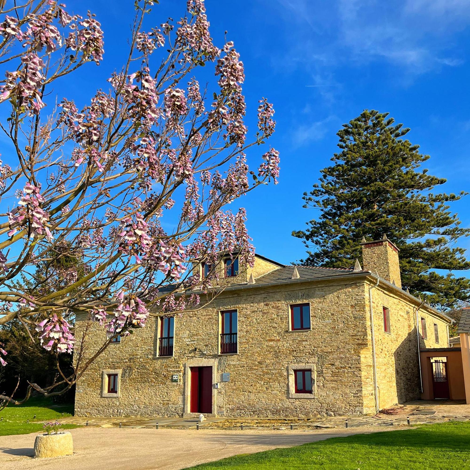 Araucaria House Pensionat Barreiros Exteriör bild