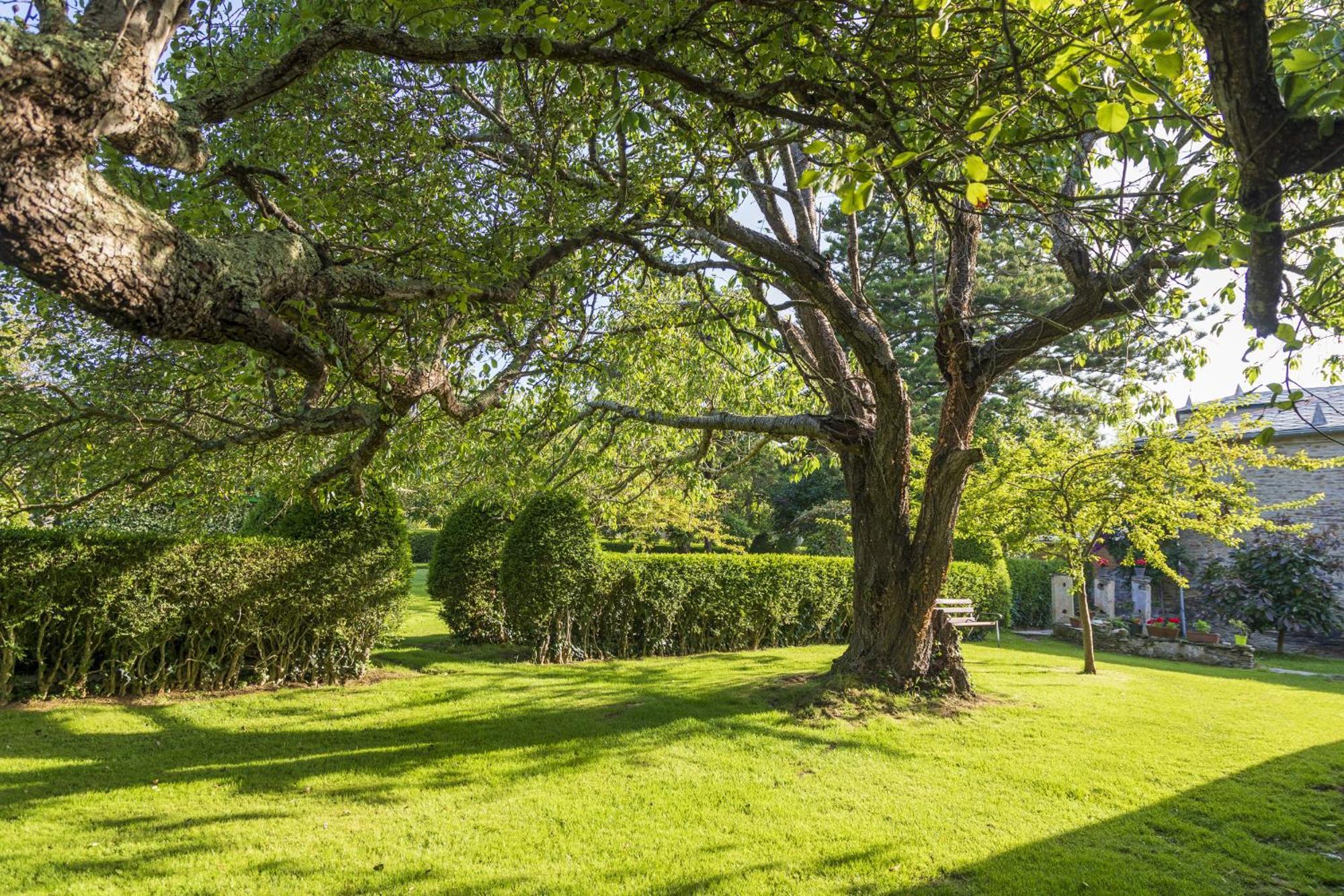 Araucaria House Pensionat Barreiros Exteriör bild