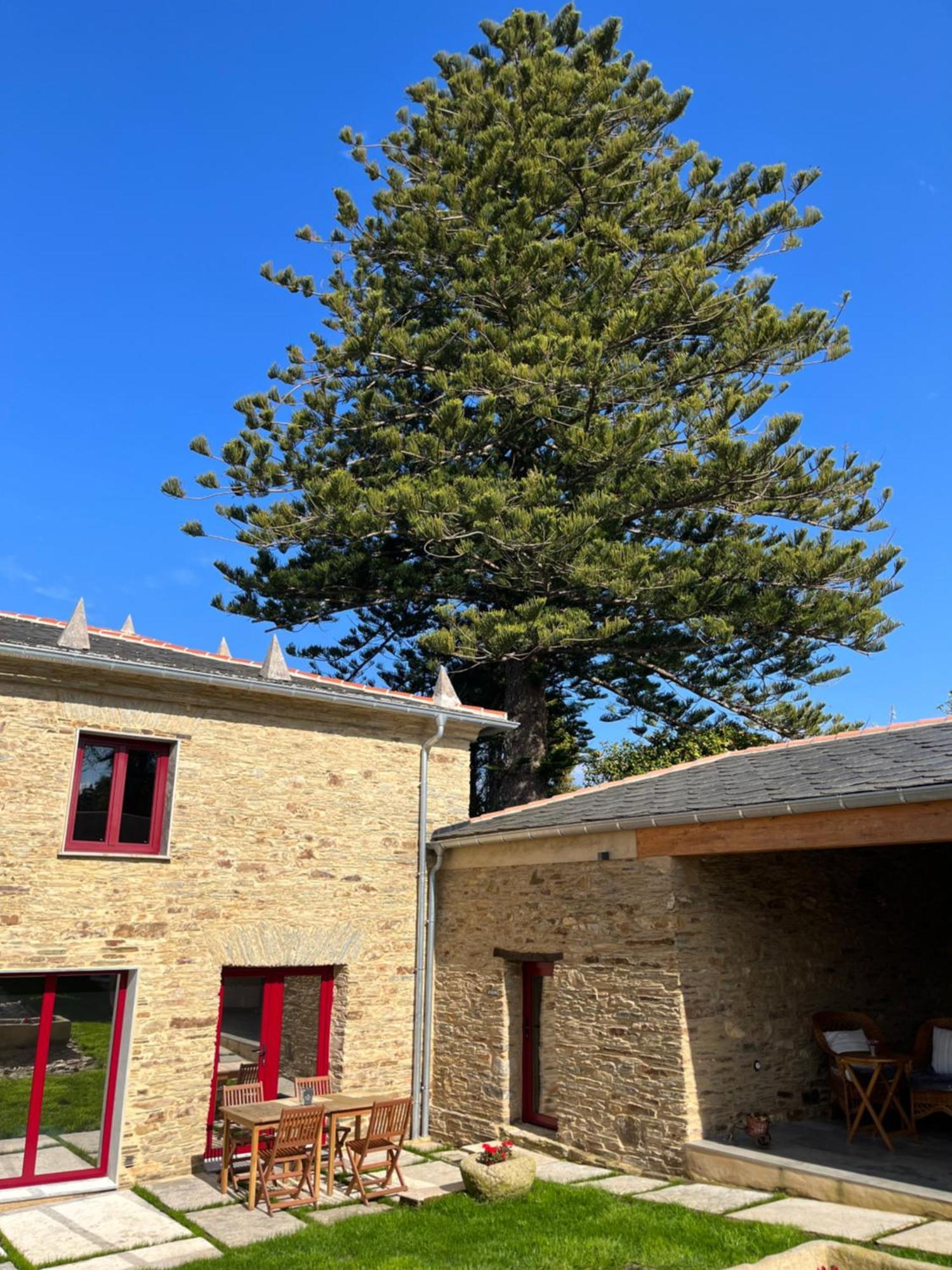 Araucaria House Pensionat Barreiros Exteriör bild